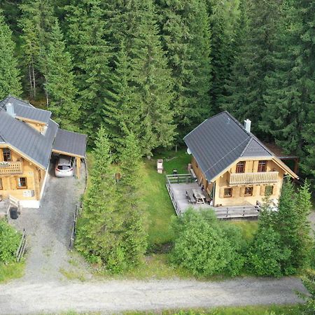 Almhaus & Almchalet Flattnitz Ngoại thất bức ảnh